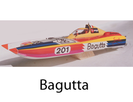 Bagutta